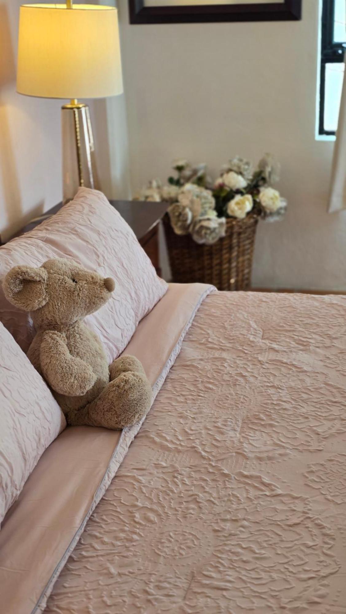 Tres Fuentes Dickinson Hotel Boutique Сан-Міґель-де-Альєнде Екстер'єр фото